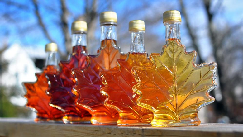 Red's Best Pure Maple Syrup - Leaf Bottle